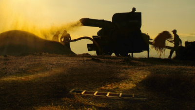 2. TARIM VE İNSAN FOTOĞRAF YARIŞMASI - Burcu EMEKTAR