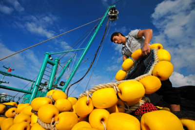 2. TARIM VE İNSAN FOTOĞRAF YARIŞMASI - Ali MERMERTAŞ