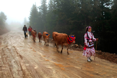 2. TARIM VE İNSAN FOTOĞRAF YARIŞMASI - Ali MERMERTAŞ