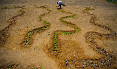2. TARIM VE İNSAN FOTOĞRAF YARIŞMASI - Cem  ÖZDEL