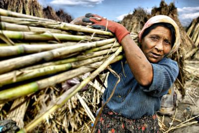 2. TARIM VE İNSAN FOTOĞRAF YARIŞMASI - Cihan KARACA