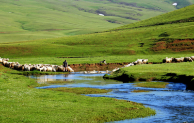 2. TARIM VE İNSAN FOTOĞRAF YARIŞMASI - Faruk KİRKİN