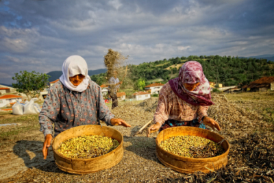 2. TARIM VE İNSAN FOTOĞRAF YARIŞMASI - Feridun EMEKTAR
