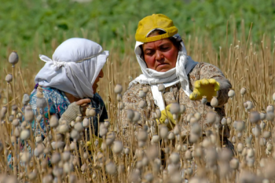 2. TARIM VE İNSAN FOTOĞRAF YARIŞMASI - Hüseyin YANIK