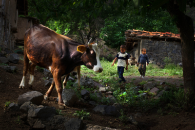2. TARIM VE İNSAN FOTOĞRAF YARIŞMASI - İsmail KABAKDERE