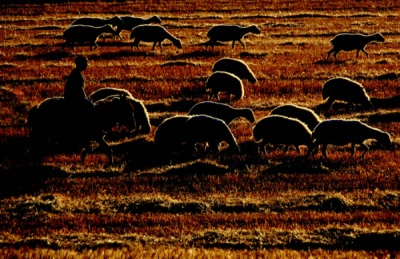 2. TARIM VE İNSAN FOTOĞRAF YARIŞMASI - K.İkbal KAYACILAR