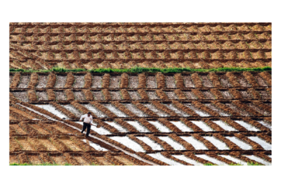2. TARIM VE İNSAN FOTOĞRAF YARIŞMASI - M. Orhan ALKAYA