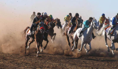 2. TARIM VE İNSAN FOTOĞRAF YARIŞMASI - Mansur KAPLAN