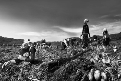 2. TARIM VE İNSAN FOTOĞRAF YARIŞMASI - Mehmet ÖZTÜRK