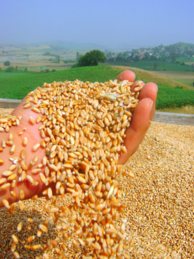 2. TARIM VE İNSAN FOTOĞRAF YARIŞMASI - MURAT KOCA