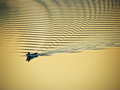 2. TARIM VE İNSAN FOTOĞRAF YARIŞMASI - Mustafa KAYA