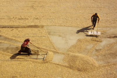 2. TARIM VE İNSAN FOTOĞRAF YARIŞMASI - Nadire GÜNDAY