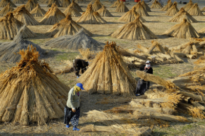 2. TARIM VE İNSAN FOTOĞRAF YARIŞMASI - Nuri  ÇORBACIOĞLU