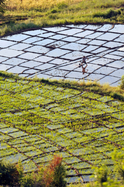 2. TARIM VE İNSAN FOTOĞRAF YARIŞMASI - Ömer YAĞLIDERE