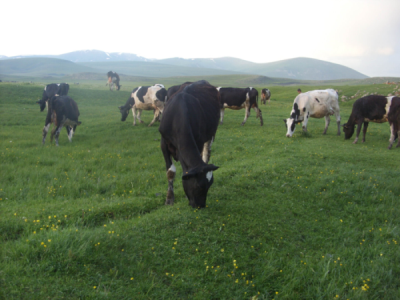 2. TARIM VE İNSAN FOTOĞRAF YARIŞMASI - S. Berkan TUNA 
