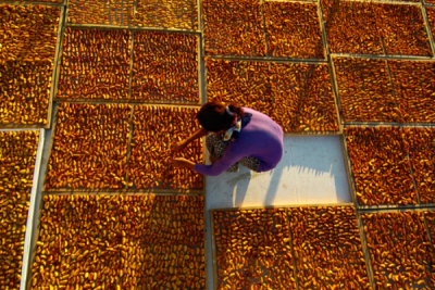 2. TARIM VE İNSAN FOTOĞRAF YARIŞMASI - Sami UÇAN