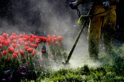 2. TARIM VE İNSAN FOTOĞRAF YARIŞMASI - Sabahattin ÖZVEREN