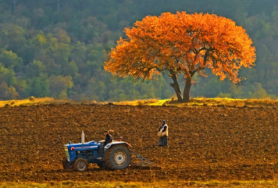 2. TARIM VE İNSAN FOTOĞRAF YARIŞMASI - Serdar ARSLAN