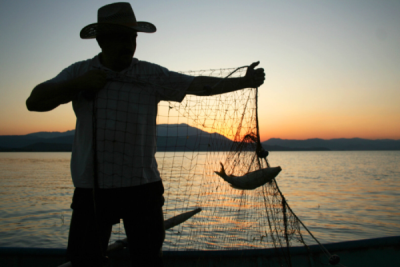2. TARIM VE İNSAN FOTOĞRAF YARIŞMASI - Seyit KONYALI