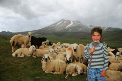2. TARIM VE İNSAN FOTOĞRAF YARIŞMASI - Volkan YILDIZ