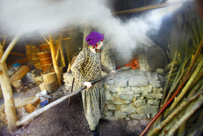 2. TARIM VE İNSAN FOTOĞRAF YARIŞMASI - Yılmaz TOPÇU