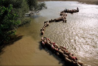 2. TARIM VE İNSAN FOTOĞRAF YARIŞMASI - zekai AKAKÇA