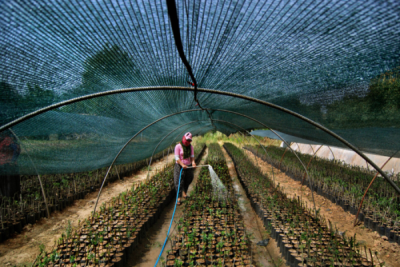 3. TARIM VE İNSAN FOTOĞRAF YARIŞMASI - Nevzat YILDIRIM