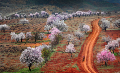3. TARIM VE İNSAN FOTOĞRAF YARIŞMASI - Sabri ALTIN
