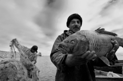 3. TARIM VE İNSAN FOTOĞRAF YARIŞMASI - Sami UÇAN