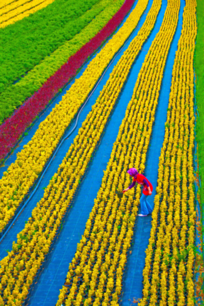 3. TARIM VE İNSAN FOTOĞRAF YARIŞMASI - Ali MERMERTAŞ