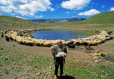 3. TARIM VE İNSAN FOTOĞRAF YARIŞMASI - Adem SÖNMEZ
