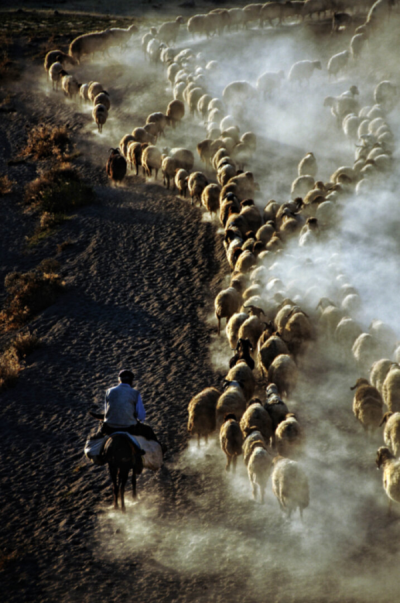 3. TARIM VE İNSAN FOTOĞRAF YARIŞMASI - Ahmet Fatih SÖNMEZ