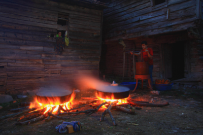 3. TARIM VE İNSAN FOTOĞRAF YARIŞMASI - Ahmet NEZİR