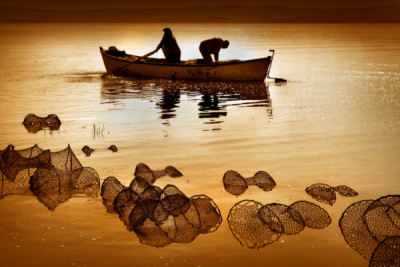 3. TARIM VE İNSAN FOTOĞRAF YARIŞMASI - Ahmet Remzi TÜLÜCE