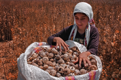 3. TARIM VE İNSAN FOTOĞRAF YARIŞMASI - Berrin KALENDERLİ