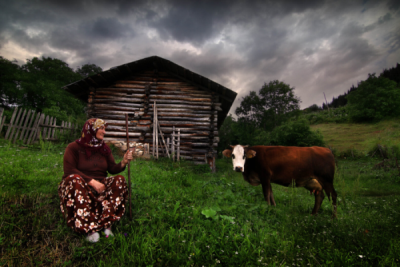 3. TARIM VE İNSAN FOTOĞRAF YARIŞMASI - Cihan DENİZ