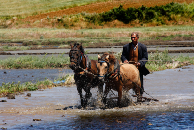 3. TARIM VE İNSAN FOTOĞRAF YARIŞMASI - Enver ŞENGÜL