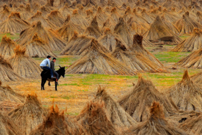 3. TARIM VE İNSAN FOTOĞRAF YARIŞMASI - Eyüp KARAKUŞ