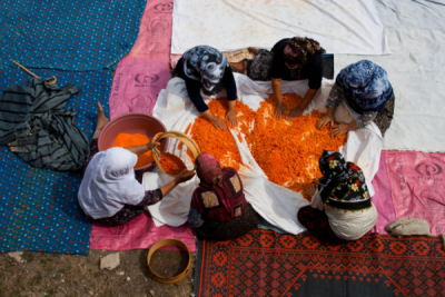 3. TARIM VE İNSAN FOTOĞRAF YARIŞMASI - Hasan YAŞAR