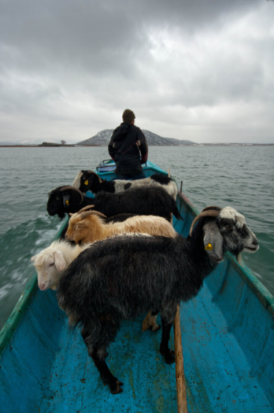 3. TARIM VE İNSAN FOTOĞRAF YARIŞMASI - Hasan YAŞAR