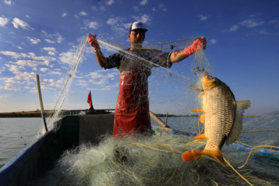3. TARIM VE İNSAN FOTOĞRAF YARIŞMASI - Hüsnü DEMİREL