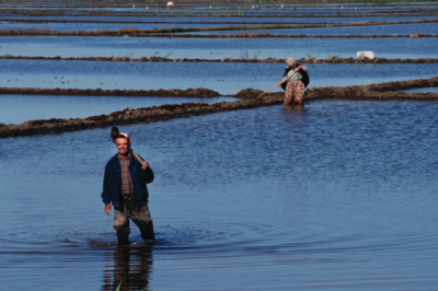 3. TARIM VE İNSAN FOTOĞRAF YARIŞMASI - İdris AYDIN