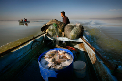 3. TARIM VE İNSAN FOTOĞRAF YARIŞMASI - İsmail Hakkı TİMUÇİN