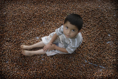 3. TARIM VE İNSAN FOTOĞRAF YARIŞMASI - Kadir ÇİVİCİ