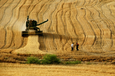 3. TARIM VE İNSAN FOTOĞRAF YARIŞMASI - Kasım GÜMÜŞ