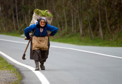 3. TARIM VE İNSAN FOTOĞRAF YARIŞMASI - Kazım BALIKÇIOĞLU
