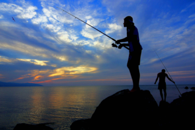 3. TARIM VE İNSAN FOTOĞRAF YARIŞMASI - Levent TOSUN