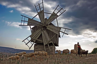 3. TARIM VE İNSAN FOTOĞRAF YARIŞMASI - Mehmet Ail KÜLLÜ 