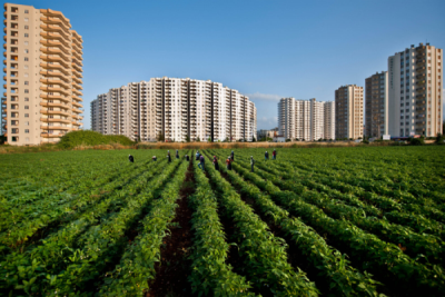 3. TARIM VE İNSAN FOTOĞRAF YARIŞMASI - Melih SULAR