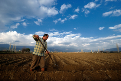 3. TARIM VE İNSAN FOTOĞRAF YARIŞMASI - Nizami ÇABUK